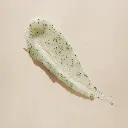 evo_P_exfoliator_revive_03.webp